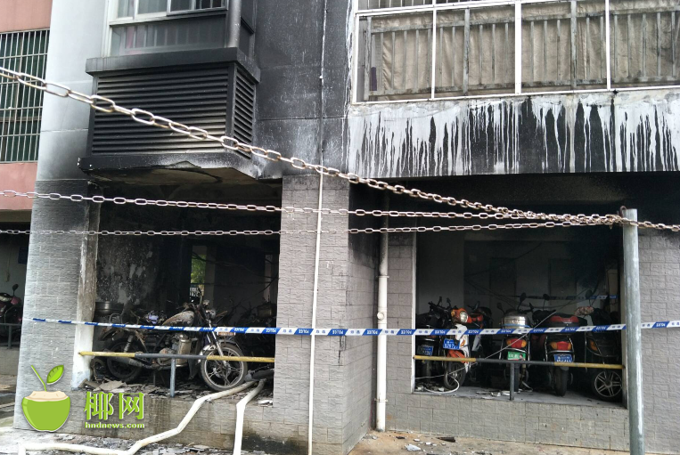 白俄罗斯总统签署关于中止《欧洲常规武装力量条约》的法律