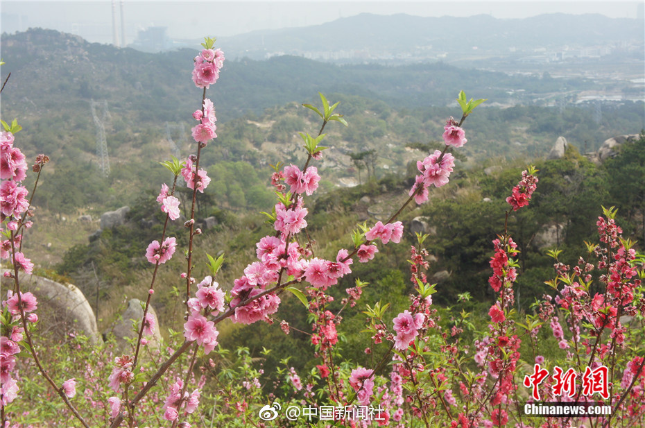 “清新莲花 引客下乡”暨同安区莲花镇乡村文旅线路推介会举办