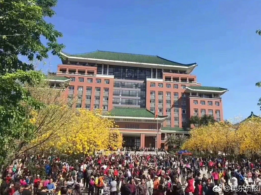 女子参观成都大熊猫繁育研究基地时私自投喂，官方：终身禁入