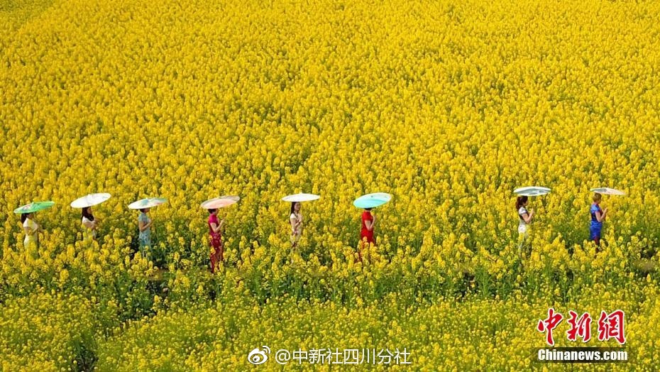 人类首次月背采样 香港理工大学参与研制相关设备