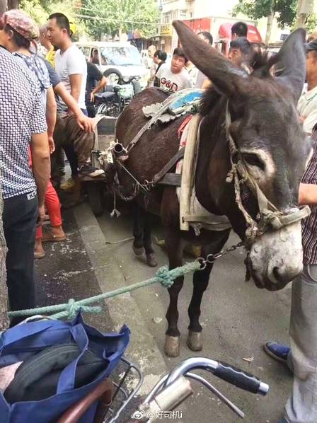 北京：义务教育学校不得选用境外教材