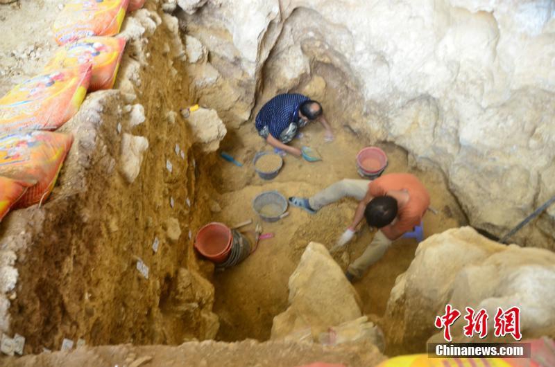 经济普查工作扎实有序推进