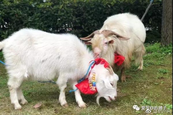 etc办理延长时间
