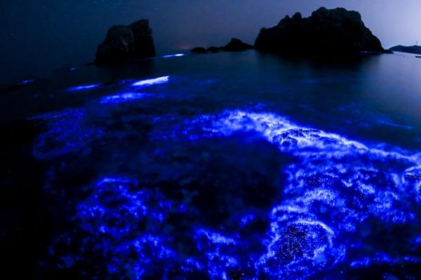 中国载人月球探测任务新飞行器名称正式确定