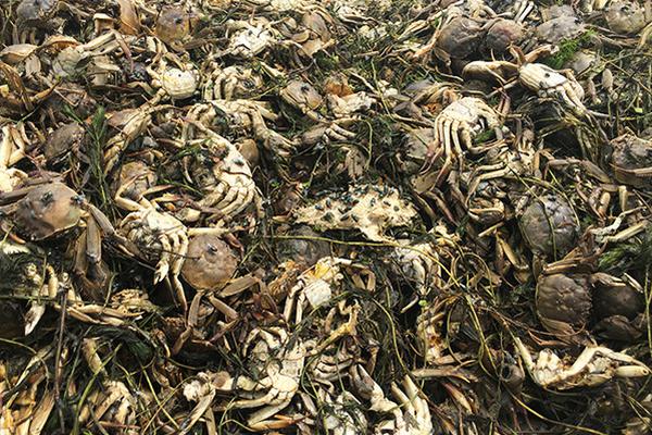 储能应用蓝海，承载无限可能