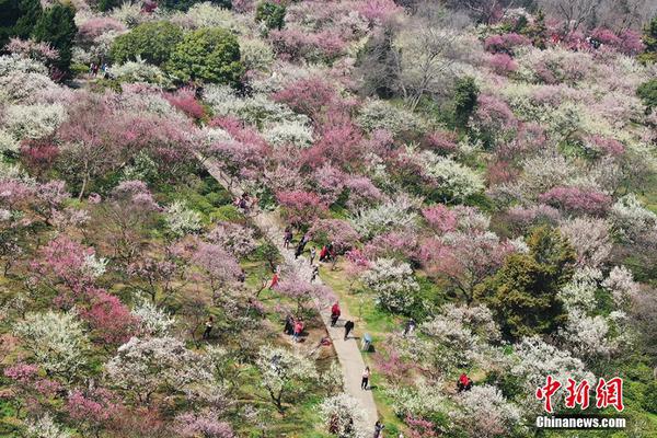 [动态]京津冀国家高新区联盟成立