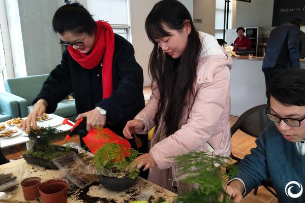 体坛联播｜亚洲杯决赛今晚上演，阿根廷3月热身赛或移师美国 – 华侨网