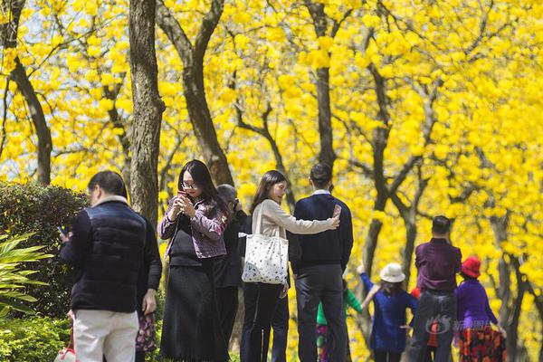二手房价格普跌！这些城市为何仍在逆市上涨？
