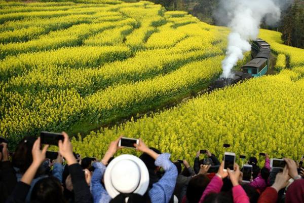 同一行程2辆出租车价格差33元？官方回应：拟吊销涉事司机营运资格