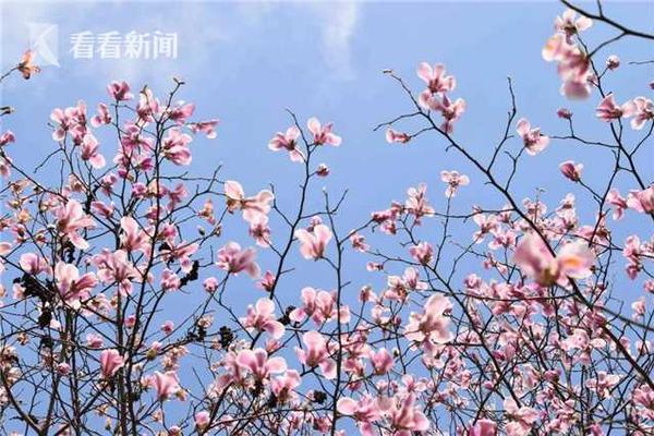 热身赛首秀输球，郭士强带队中国男篮强调三件事 – 华侨网