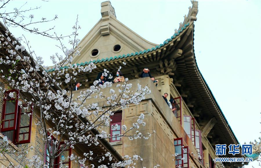 以军对加沙地带北部80多个地点进行打击