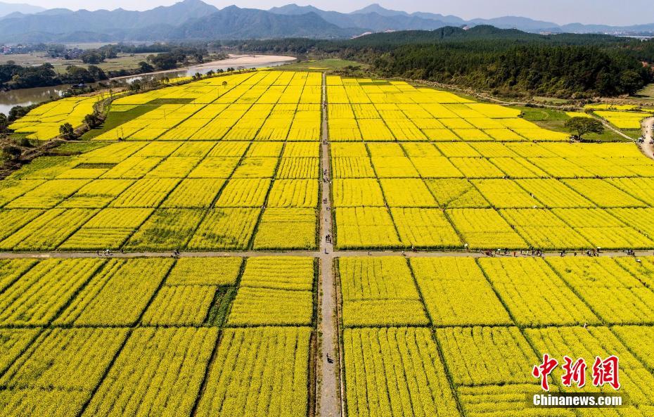 岁末年初现金类理财收益率升温 最高可超7% 西安新闻网
