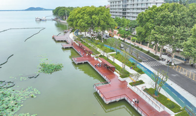 跟着跑友看绿道 感受东湖生态美(身边的绿道②)